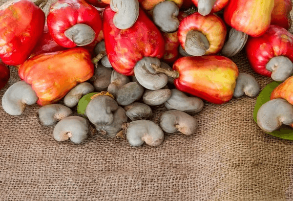 Raw Cashew Nuts